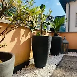 Lägenhet Casa Papavero Gambarogno