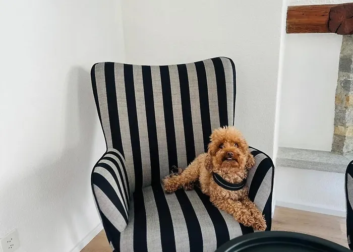 Casa Papavero Daire Gambarogno