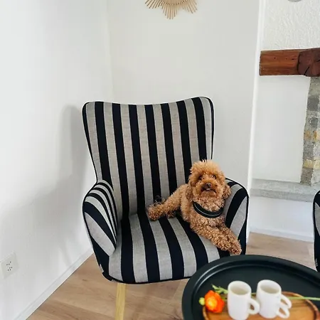 Casa Papavero Appartement Gambarogno