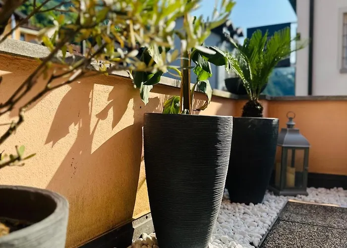 Apartament Casa Papavero Gambarogno